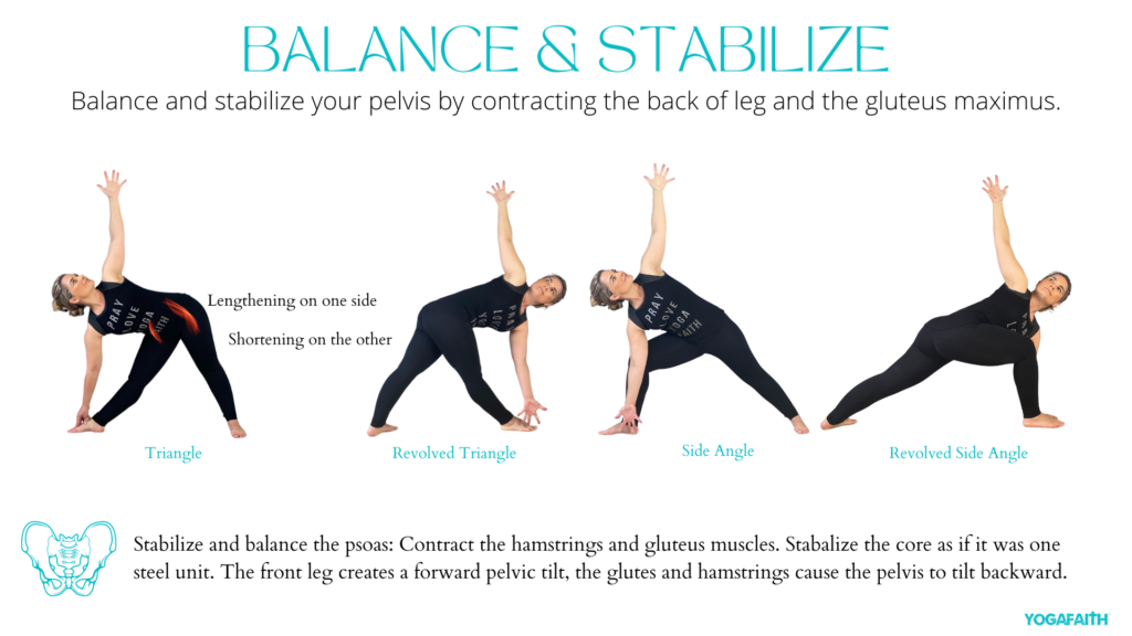 Awakening the Psoas and Resting the Soul