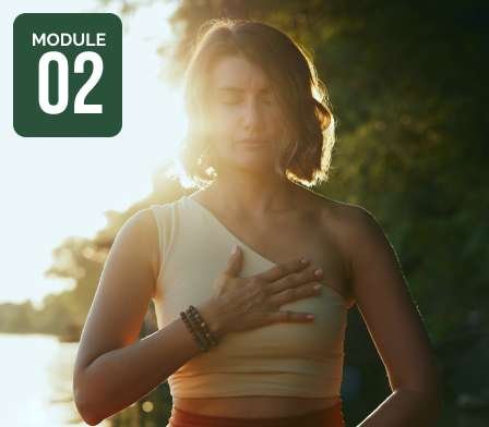 Trauma Sensitive Yoga Module 2