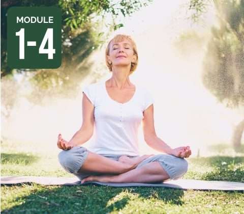 Master Module Bundle 1-4