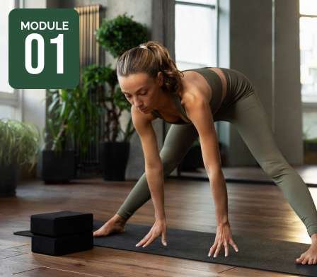 Module 1 - In the Beginning