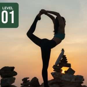 Sozo and Somatics Level 1 | Yoga Faith
