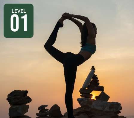 Sozo and Somatics Level 1